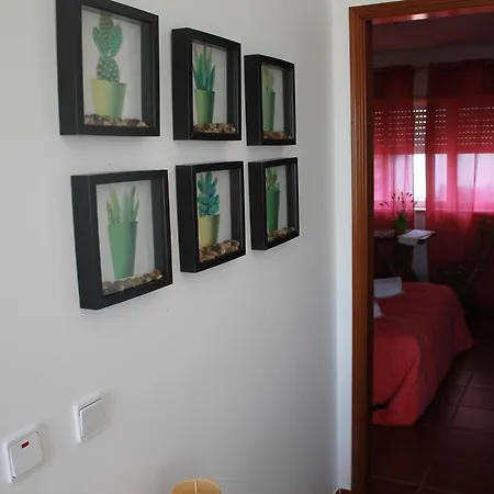 Pro Touristic Surf Apartamento