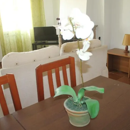 Pro Touristic Surf Apartamento *